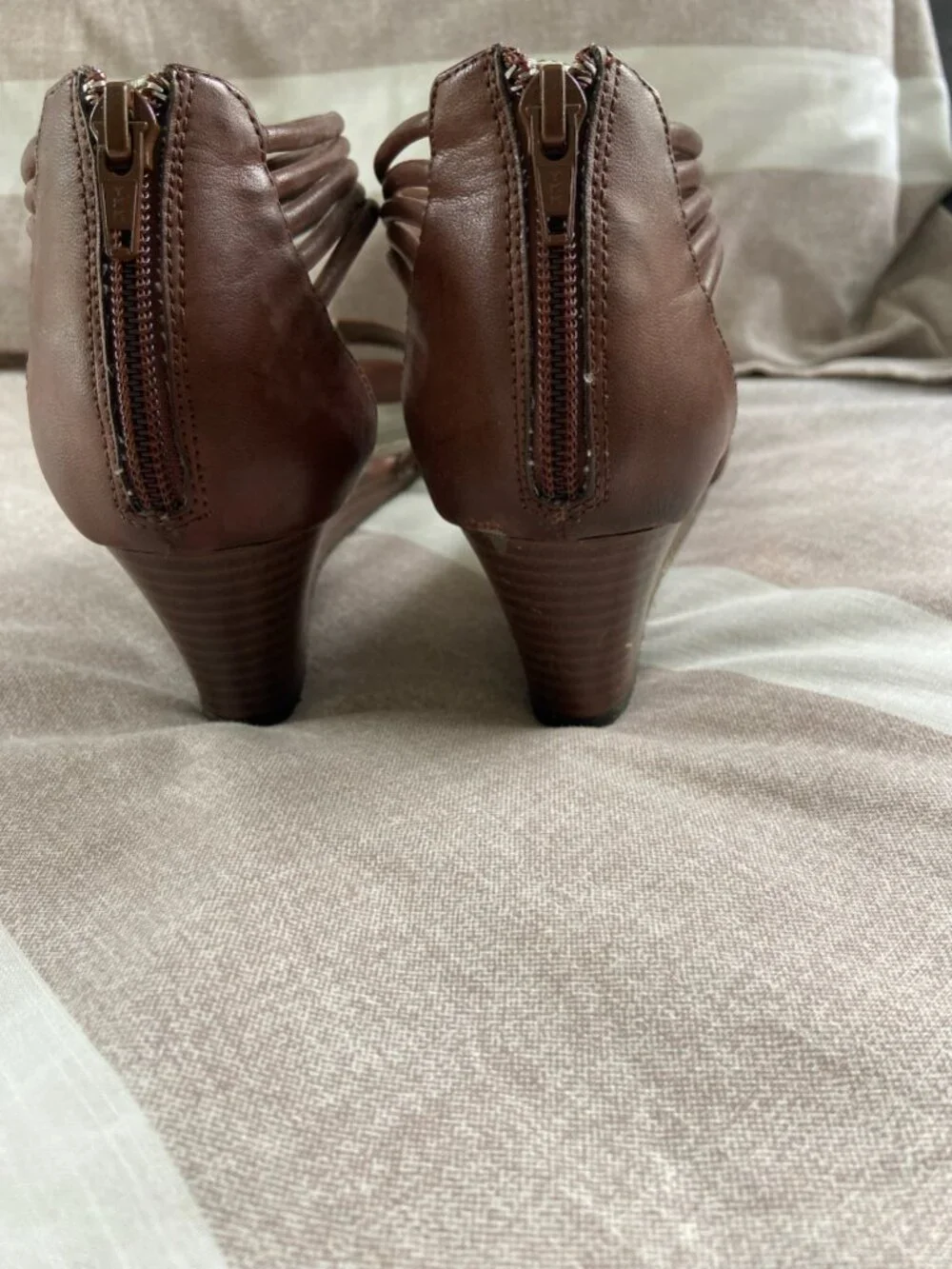 Style & Co. cute brown
